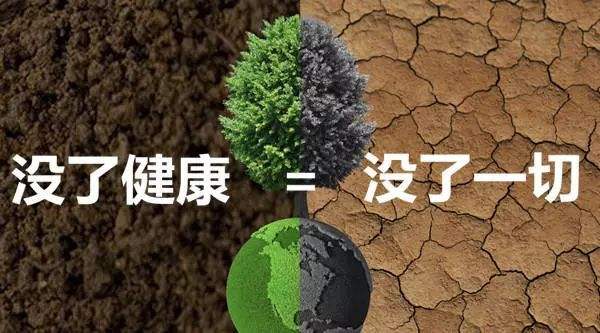 賈云峰：疫情常態(tài)化下，大健康產(chǎn)業(yè)發(fā)展的五個(gè)關(guān)鍵